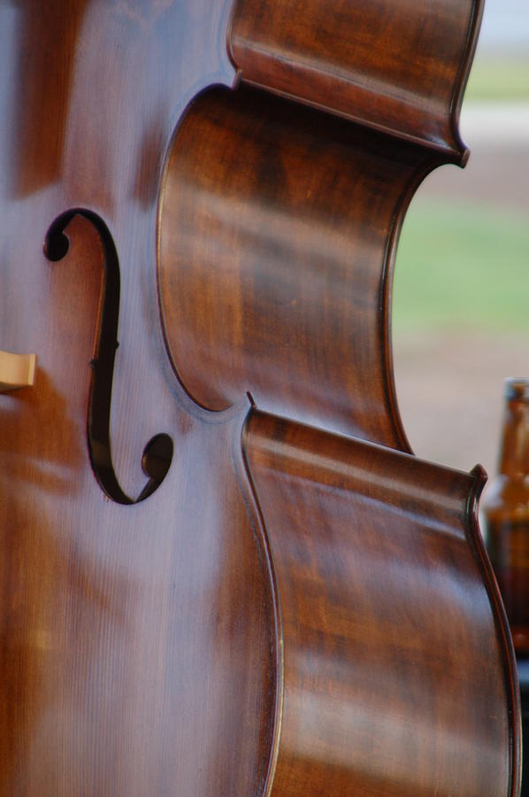 Music Photograph - Cello by Victoria Leyva