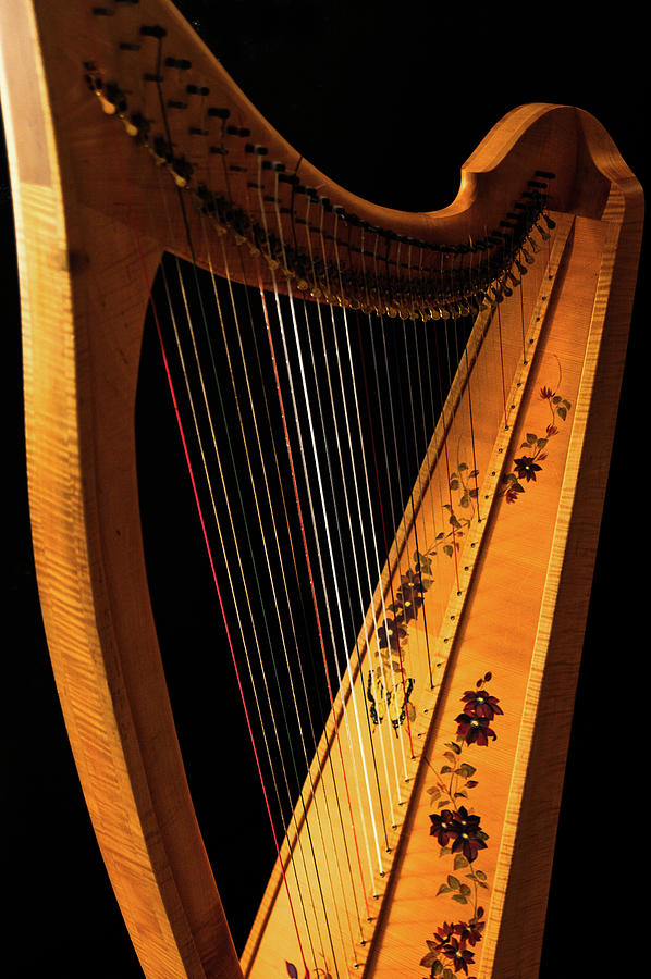 samplism celtic harp samplism celtic harp