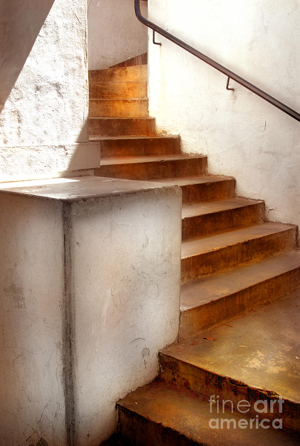 Cement Stairs Photograph by Jill Battaglia