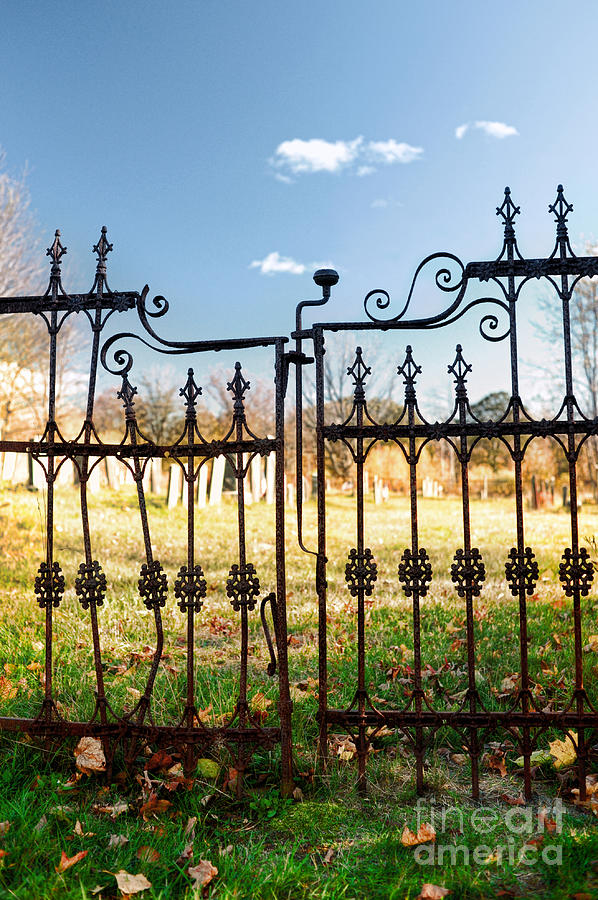 Cemetery Gates Photograph by HD Connelly