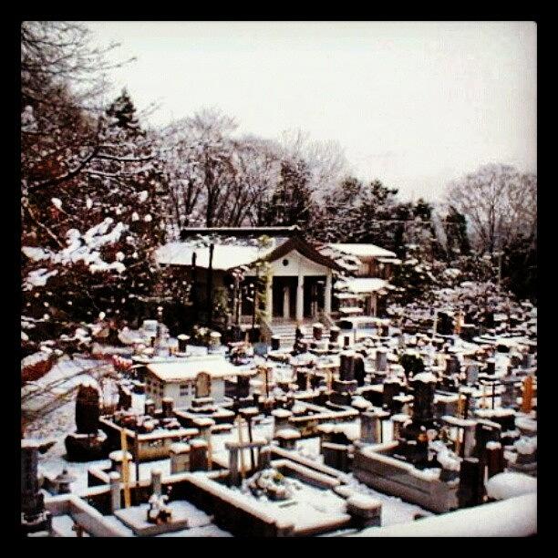 Cemetery In Tsukui, Japan  2002 Photograph by Alison Ware