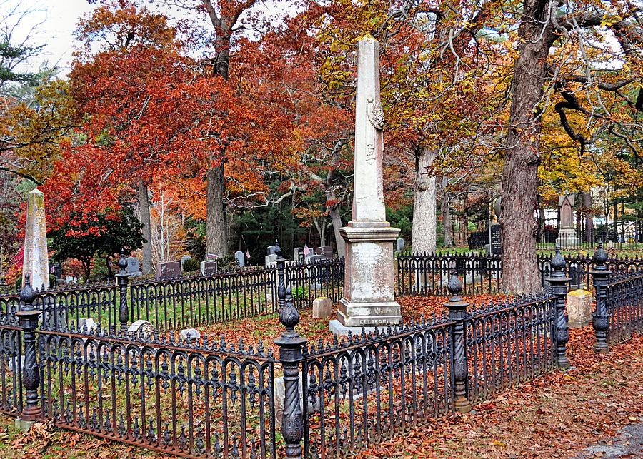 Cemetery scenery Photograph by Janice Drew