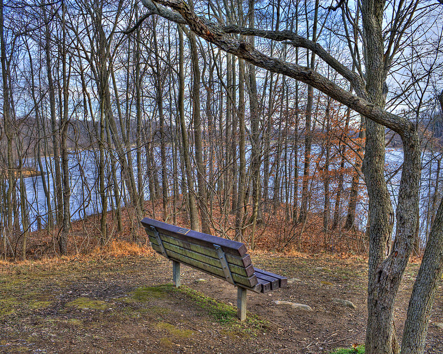 Centennial Lake Bench Photograph by Stephen Younts