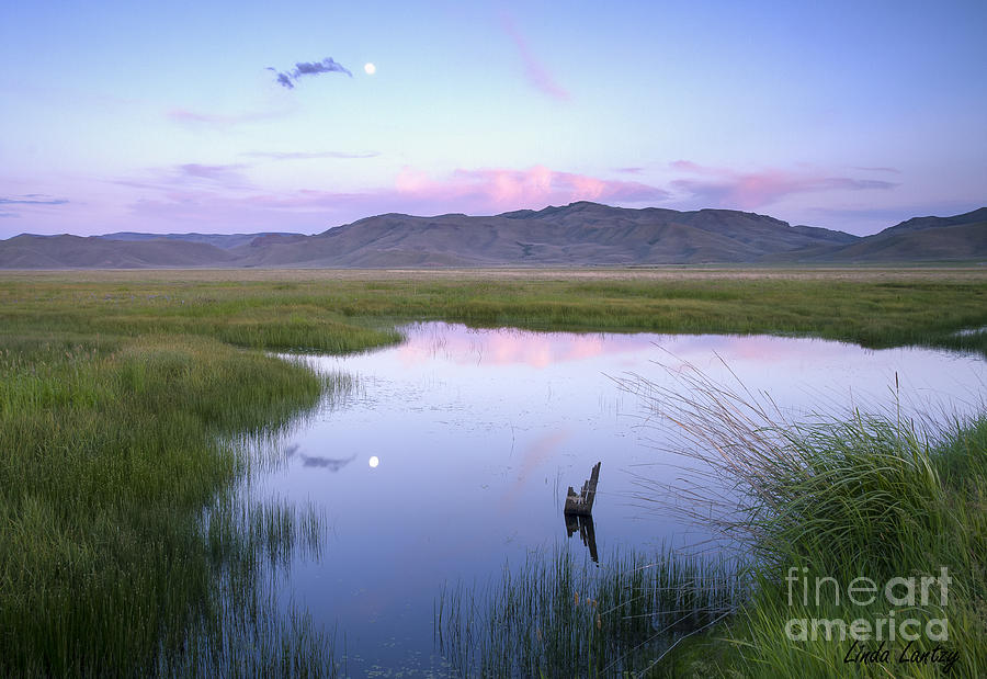 Summer Photograph - Centennial Moon by Idaho Scenic Images Linda Lantzy