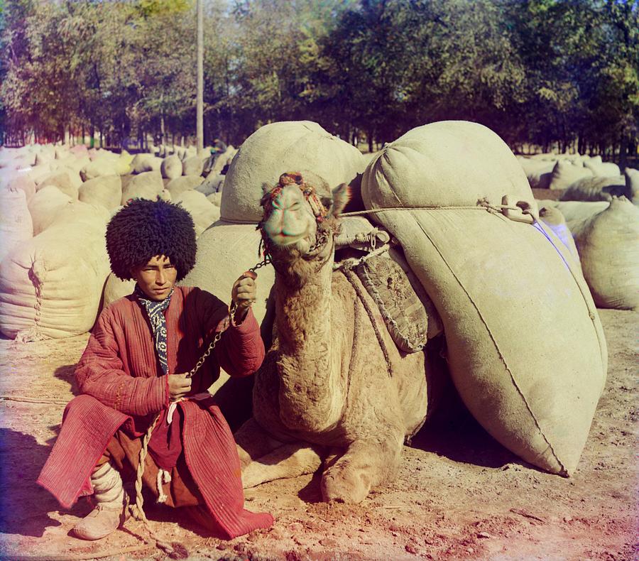 Transportation Photograph - Central Asian Camel Driver Poses by Everett