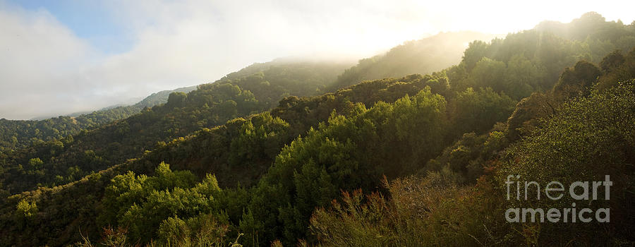 Nature Photograph - Central California Panorama by Matt Tilghman