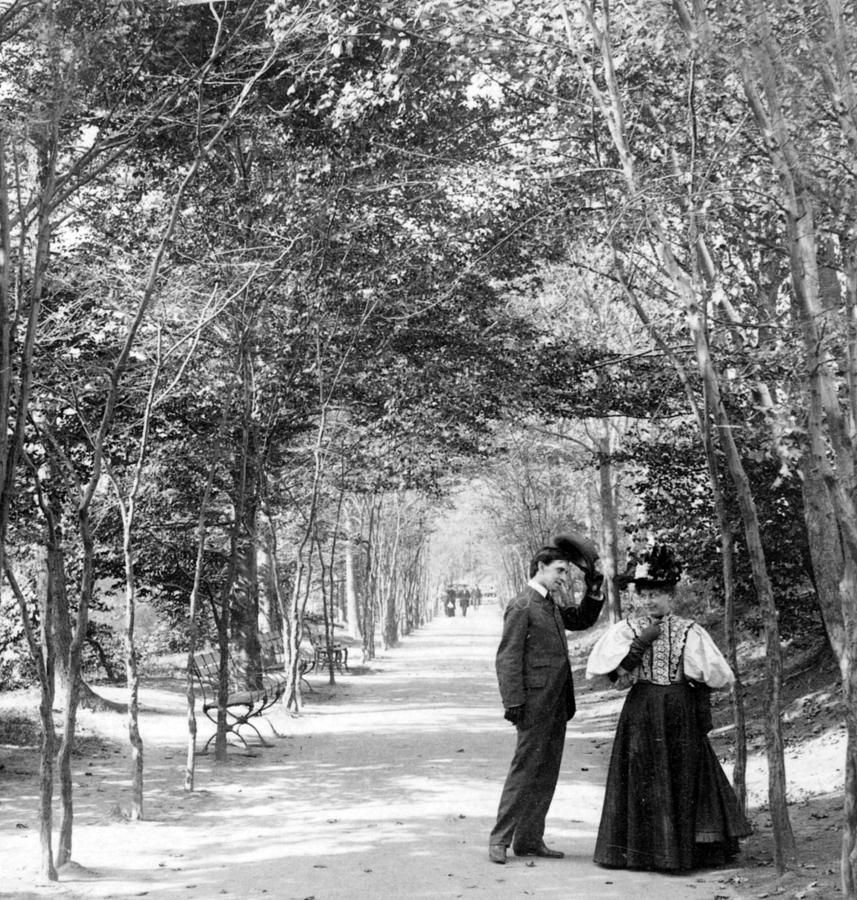 Central Park - Lovers Lane - New York City - c 1896 Photograph by International  Images