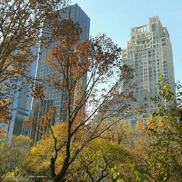 City Photograph - Central Park & Skyscrapers by Irina Bubnova