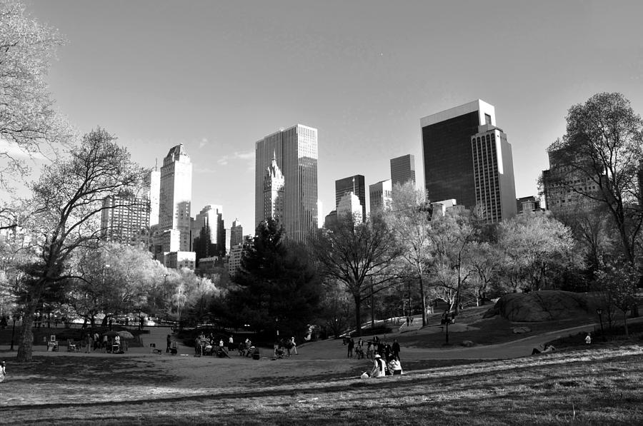Central Park 2 Photograph by Andrew Dinh