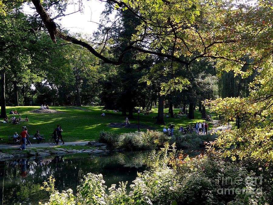 Central Park 76 Photograph by Padamvir Singh