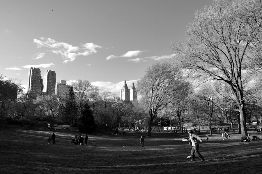 Central Park Photograph by Andrew Dinh
