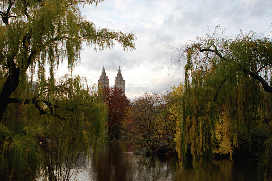 Central Park Autumn Photograph by Lorraine Devon Wilke