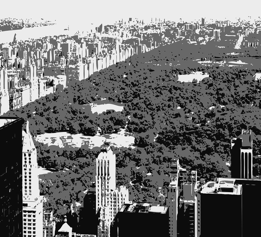 Central Park BW3 Photograph by Scott Kelley
