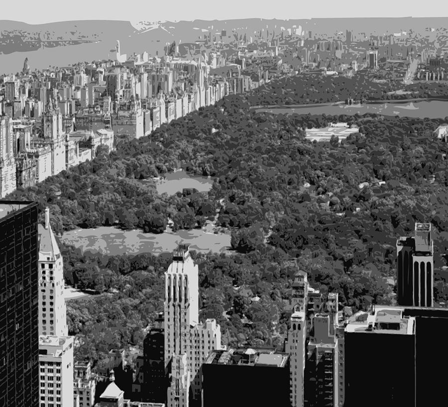 Central Park BW6 Photograph by Scott Kelley