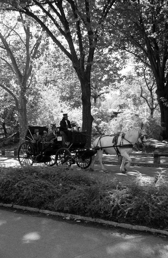Horse Photograph - CENTRAL PARK CAB in BLACK AND WHITE by Rob Hans