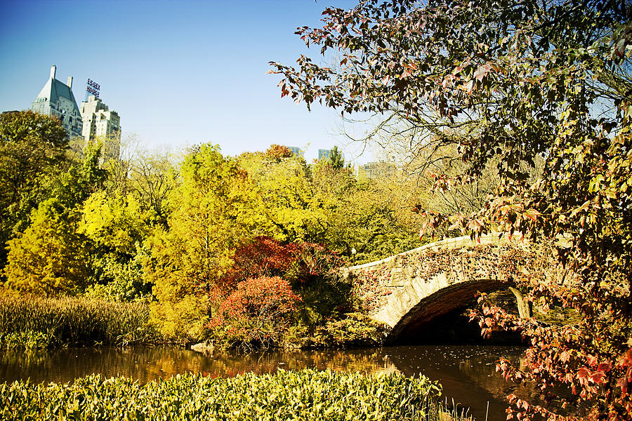 New York City Photograph - Central Park Colours by Darren Martin