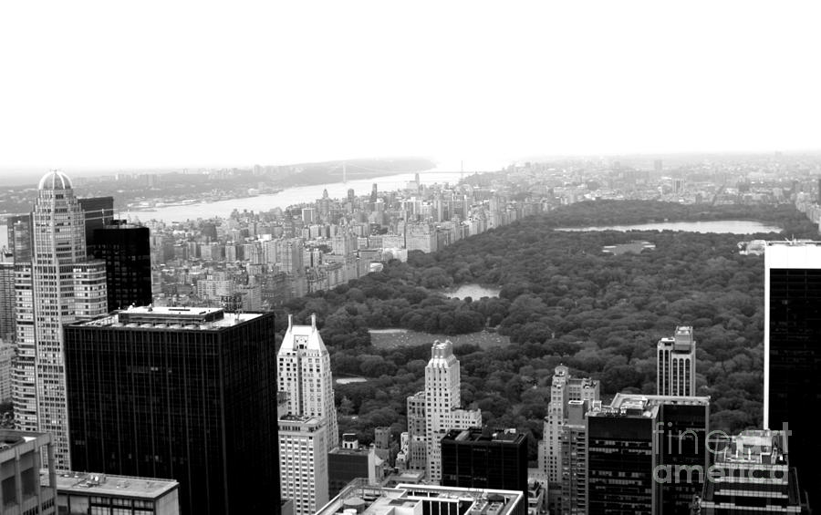 Central Park In Black and White Photograph by Living Color Photography Lorraine Lynch