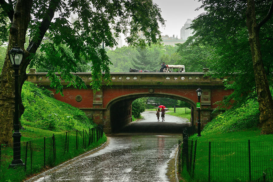 Central Park In The Rain Photograph by Greg Norrell