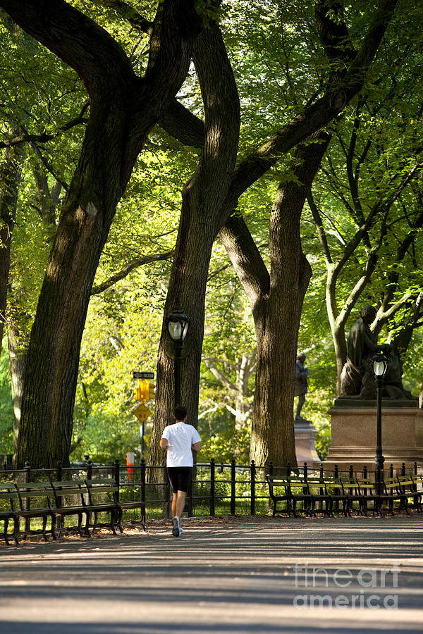 Central Park Jogger Photograph by Brian Jannsen