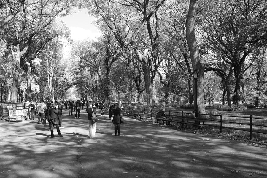 Black And White Photograph - CENTRAL PARK MALL in BLACK AND WHITE by Rob Hans
