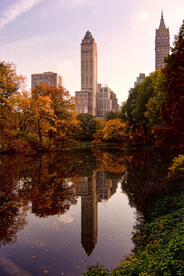 Central Park Photograph by Michael Dorn
