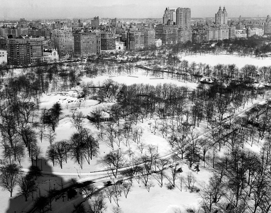 Central Park, New York City, Circa Photograph by Everett