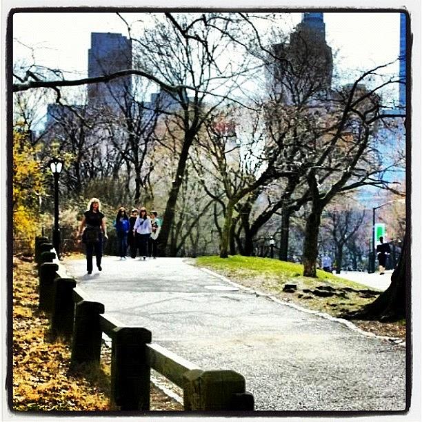 Summer Photograph - Central Park NYC by Rebecca Shinners