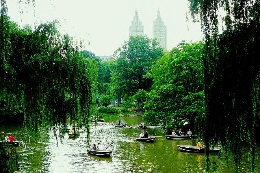 Central Park Pond Photograph by Valentino Visentini