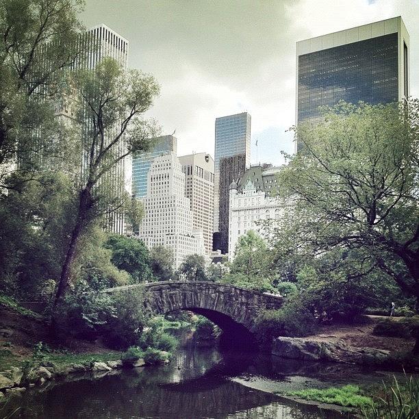 Summer Photograph - Central Park by Randy Lemoine