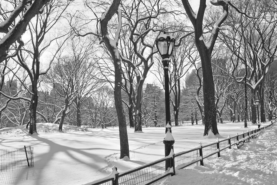 Central Park Snowfall BW Photograph by Andrew Kazmierski | Fine Art America