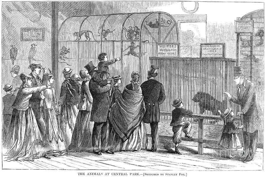 Central Park Zoo, 1867 Photograph by Granger