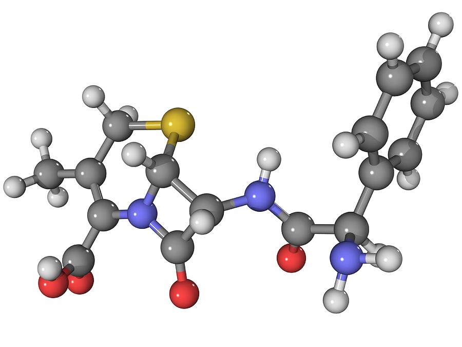 Molecular Photograph - Cephalexin Antibiotic Molecule by Laguna Design