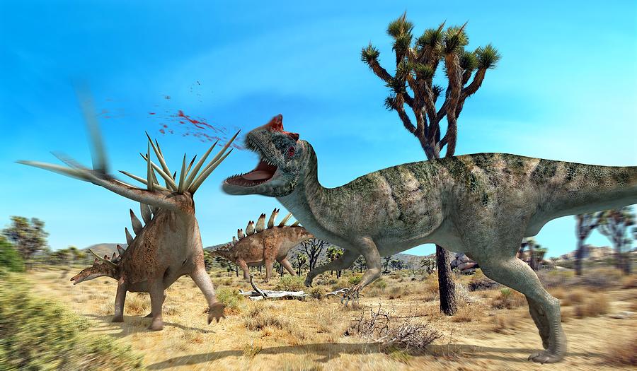 Ceratosaurus Photograph - Ceratosaurus And Dacentrurus, Artwork by Jose Antonio PeÑas Ceratosaurus Photograph - Ceratosaurus And Dacentrurus, Artwork by Jose Antonio PeÑas