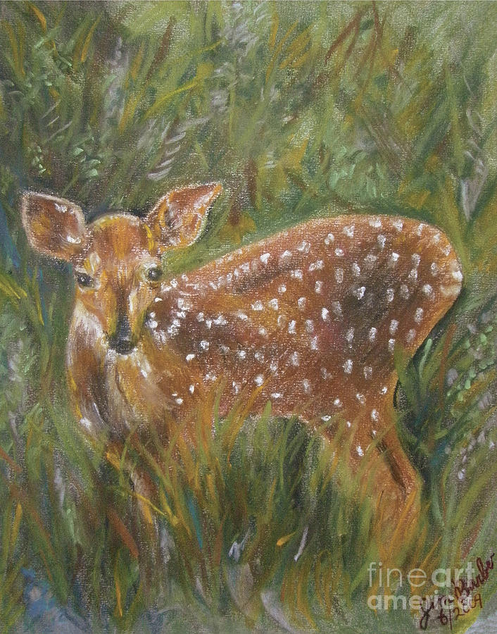Deer Painting - Cervatillo by Jim Barber Hove