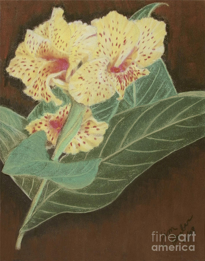 Flower Painting - Chachalacas by Jim Barber Hove