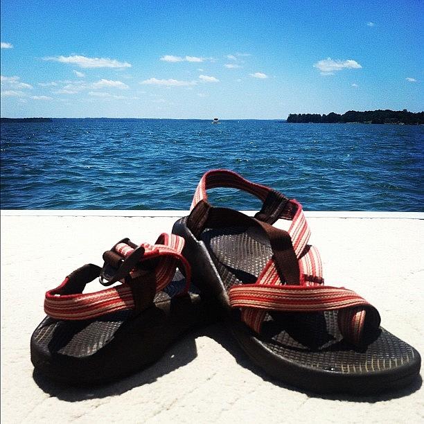 Nature Photograph - Chacos on the Lake by Lea Ward