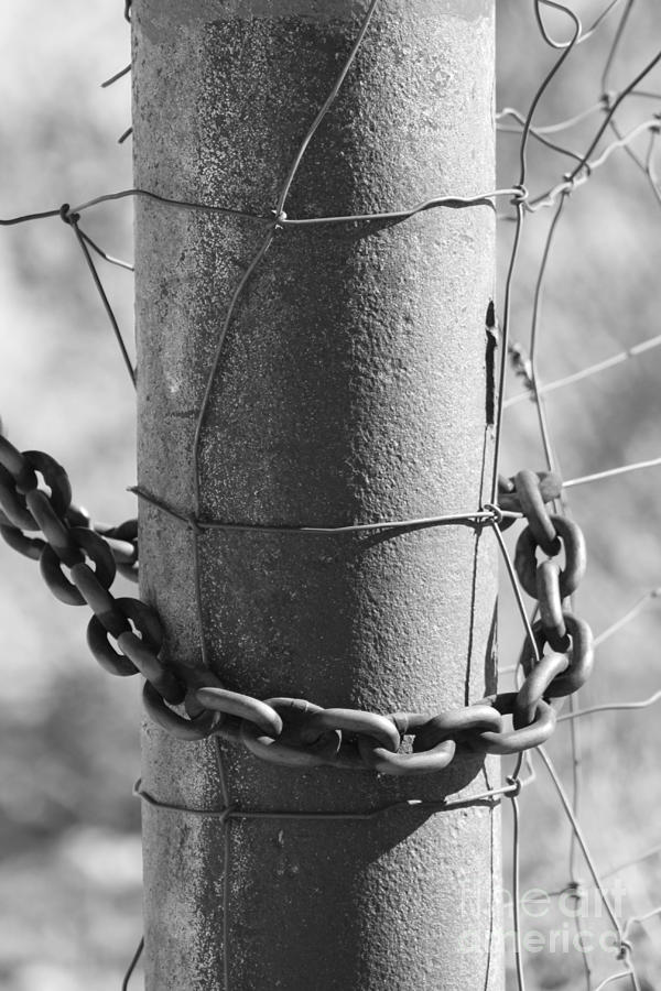 Chain Up Photograph By Susan Dinkins - Fine Art America