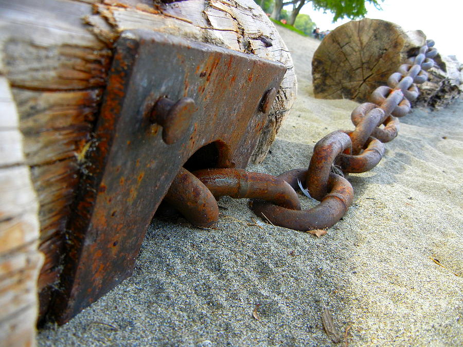 Chained Photograph by KD Johnson