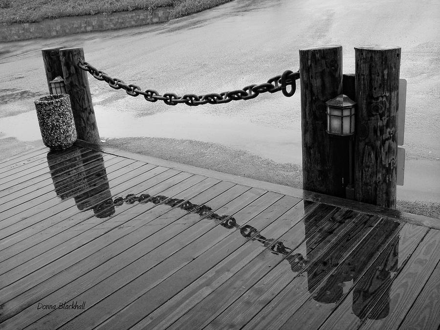 Chained Together Photograph by Donna Blackhall