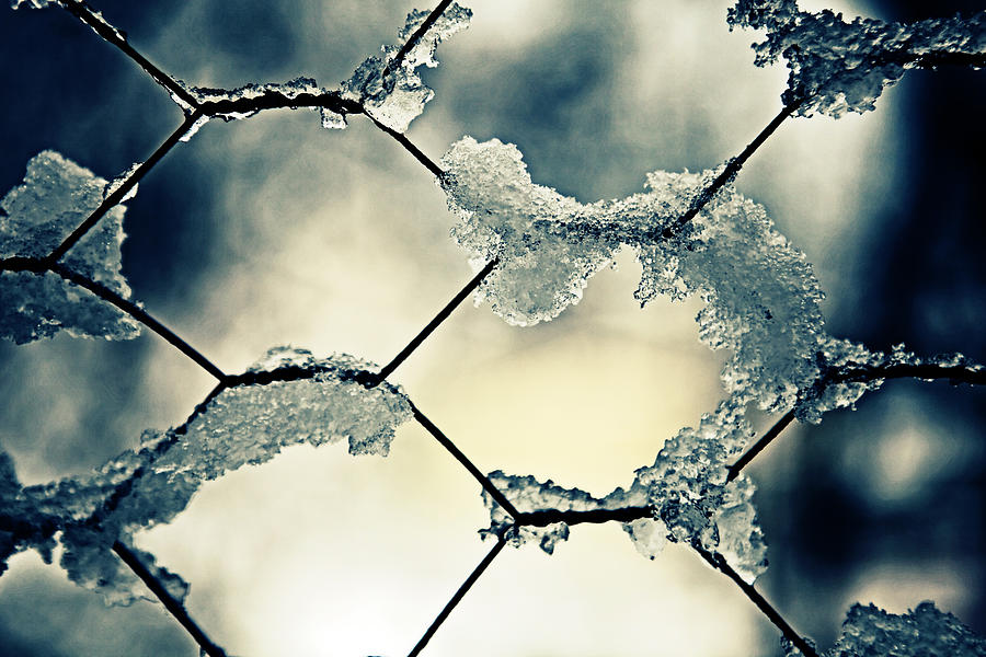 Winter Photograph - Chainlink Fence by Joana Kruse