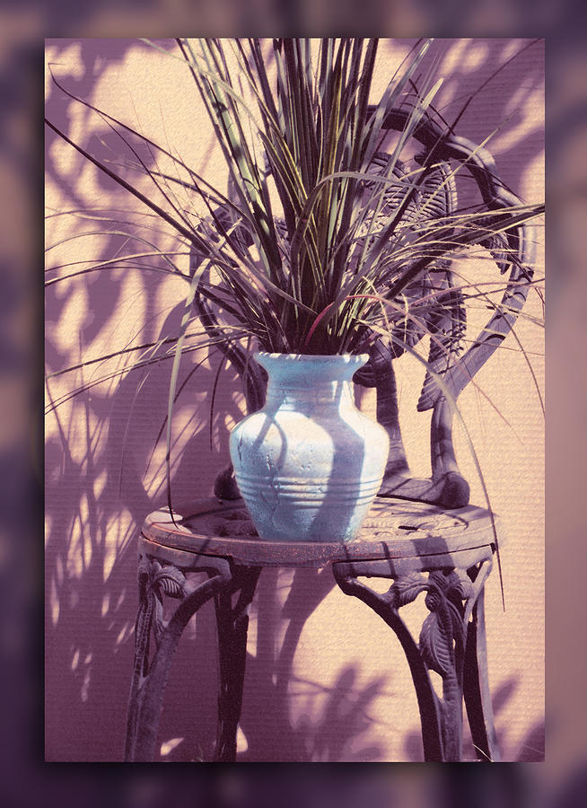 Chair with Plant Photograph by Ginny Schmidt