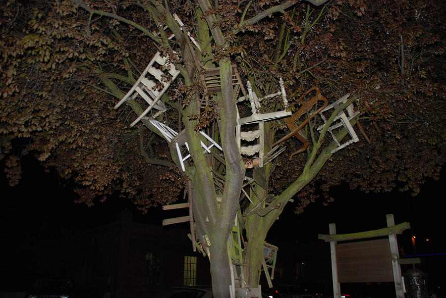 Chairy Tree - Fremont Photograph by Michael Merry