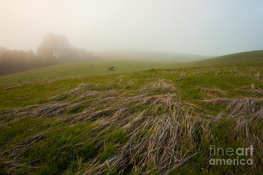 Sunset Photograph - Changing of the Grass by Matt Tilghman