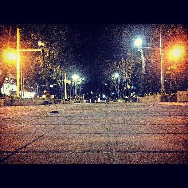 Noche Photograph - #chapultepec #paseochapultepec by Fernando Barroso