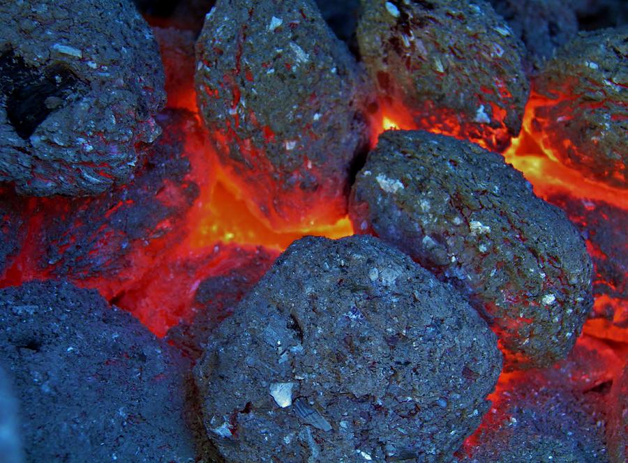 Charcoal Fire Photograph by Werner Lehmann Fine Art America