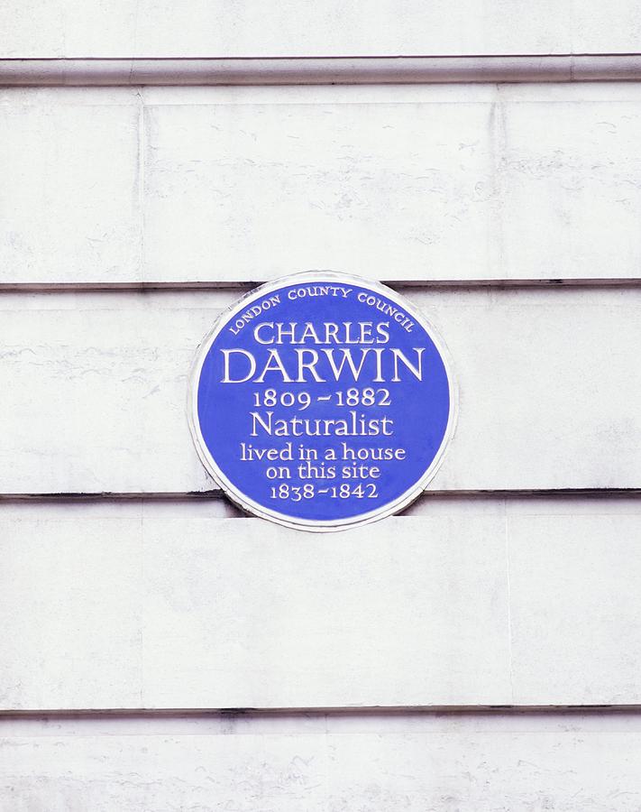 Charles Darwin Commemorative Plaque by Science Photo Library