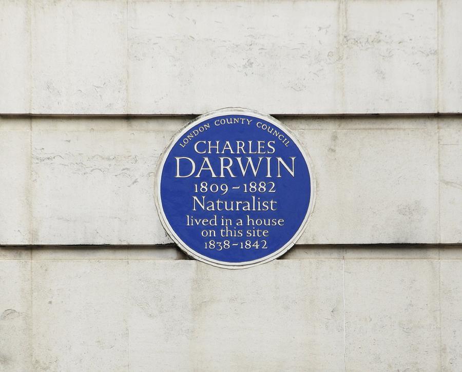 Charles Darwin Commemorative Plaque by Science Photo Library