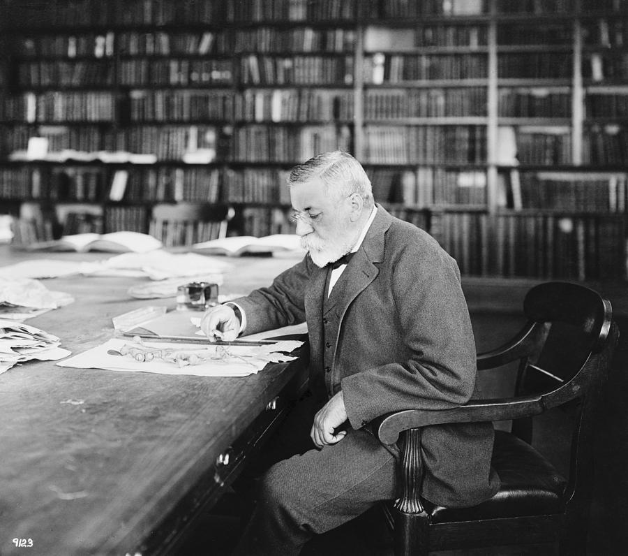 Charles Sprague Sargent 18411927 Photograph by Everett Pixels