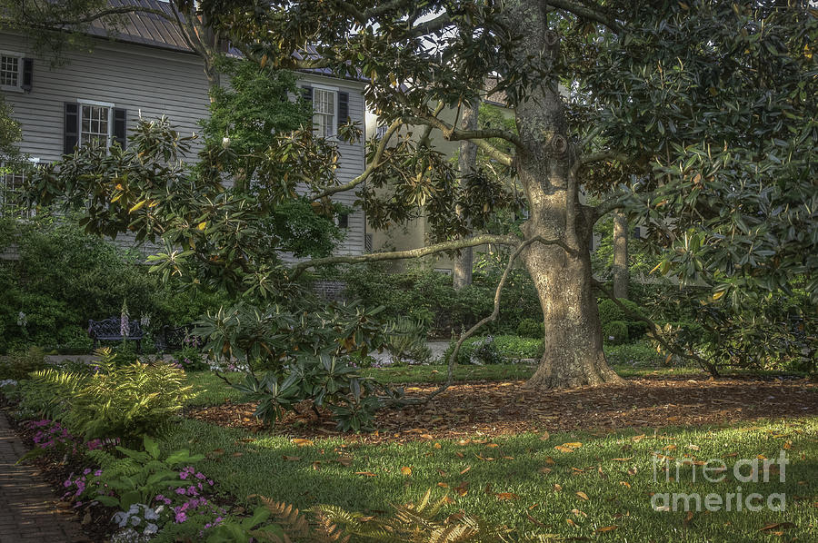 Charleston Private Garden II Photograph by David Waldrop