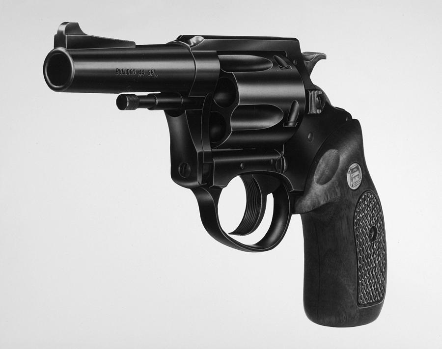 Charter Arms Revolver Photograph by Granger